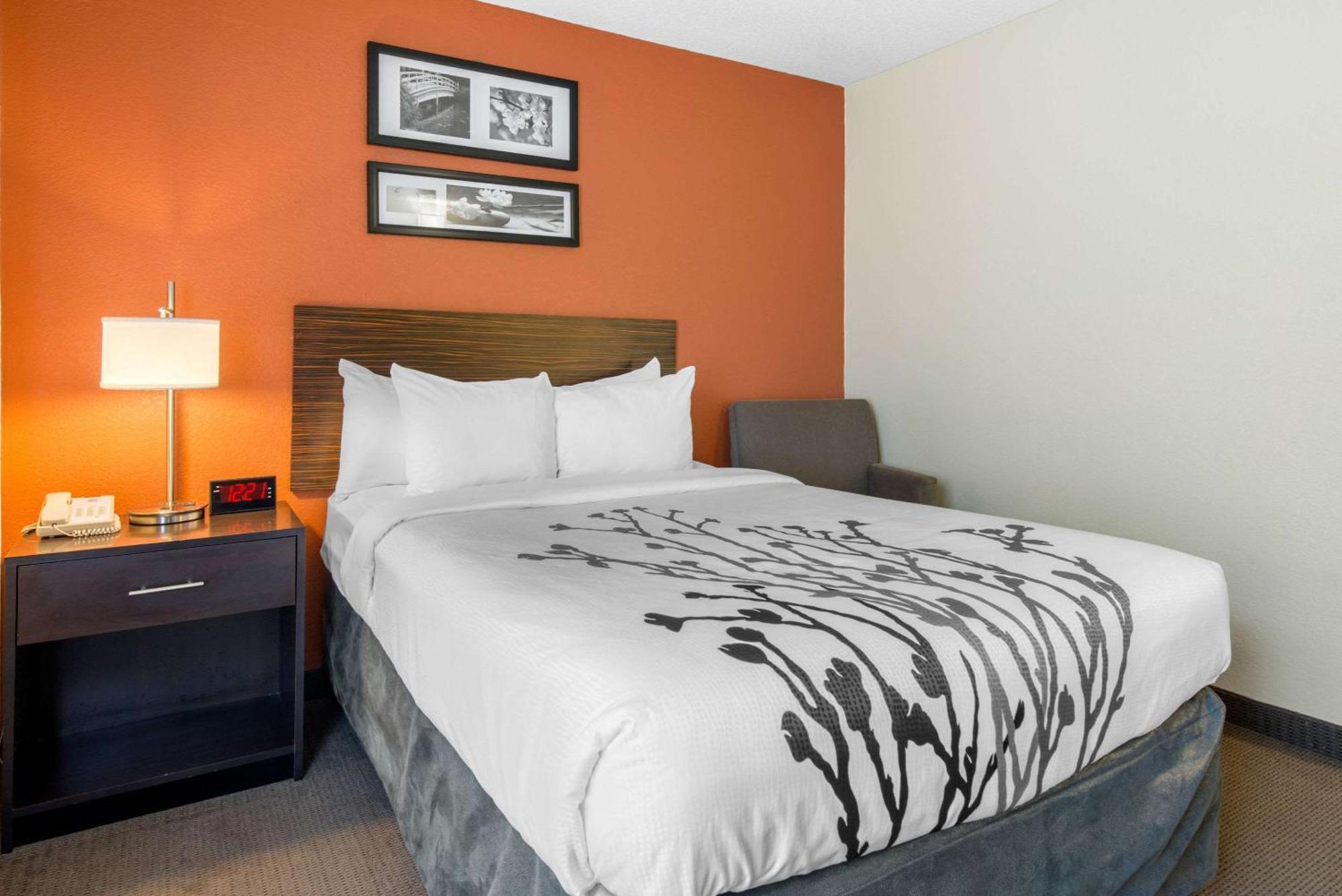 Sleep Inn Sarasota North Extérieur photo