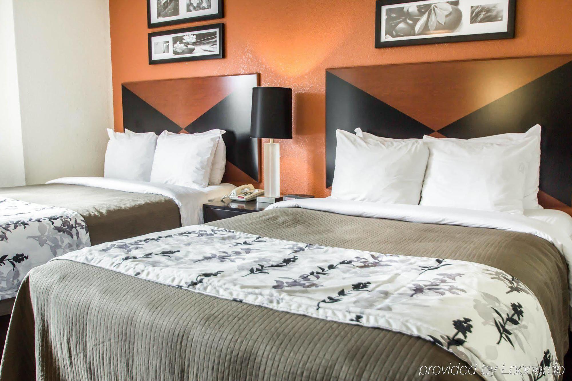 Sleep Inn Sarasota North Extérieur photo